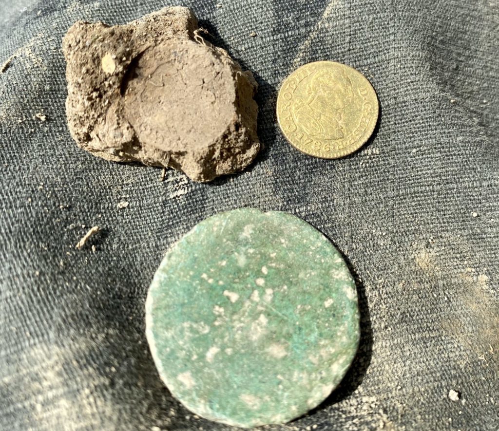 Minelab Equinox 800 - Colonial Gold!