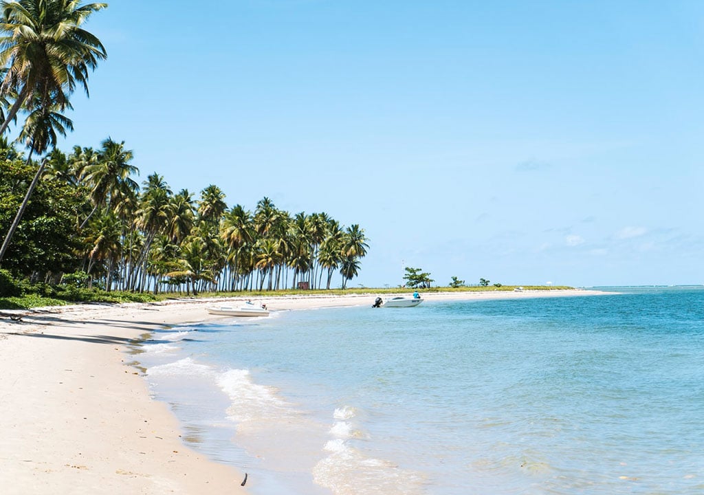 Best Beach Metal Detectors