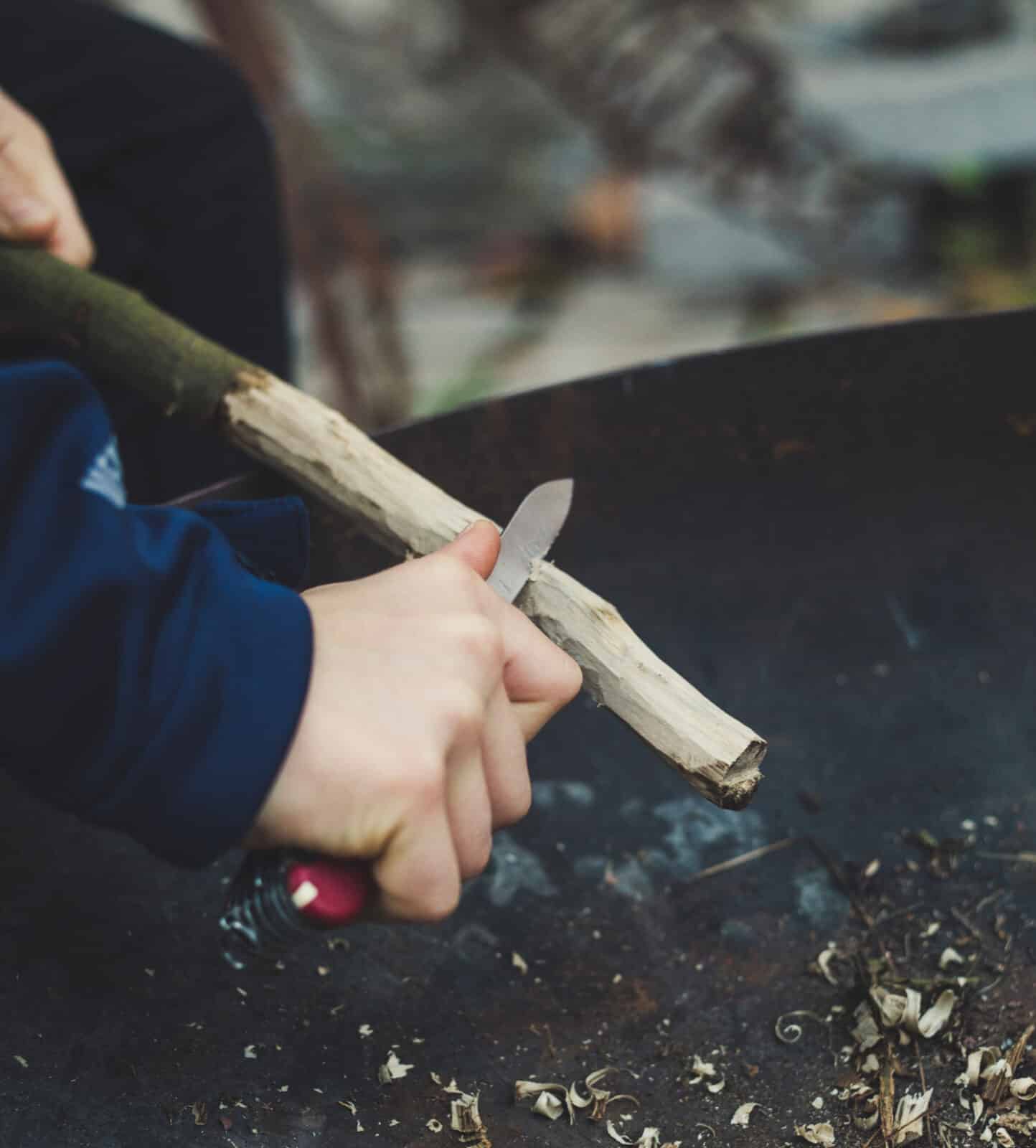 Educational Nature Projects That Encourage Learning
