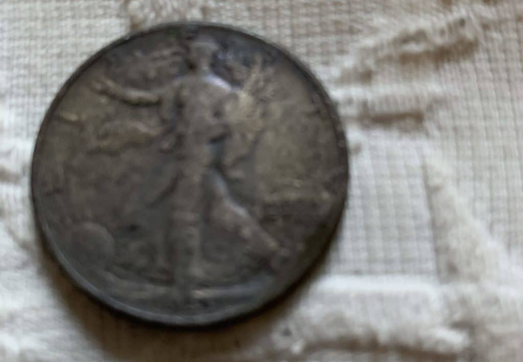Minelab Equinox 800 Finds Walking Liberty Half Dollar in NYC