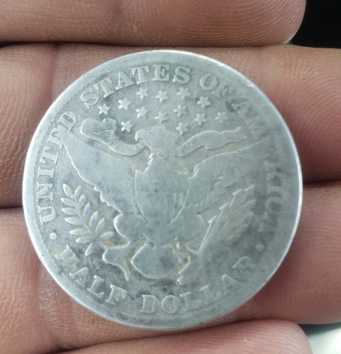 Garrett AT Pro Half Dollar Find - Real Customer Story
