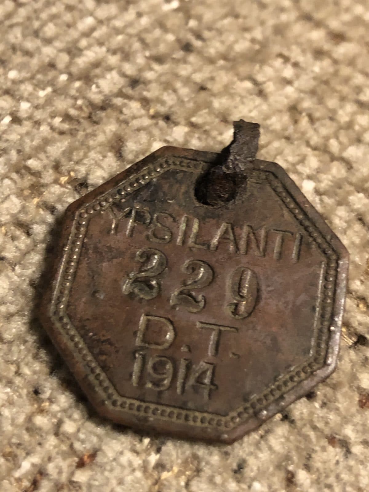 Ypsilanti Dog Tag