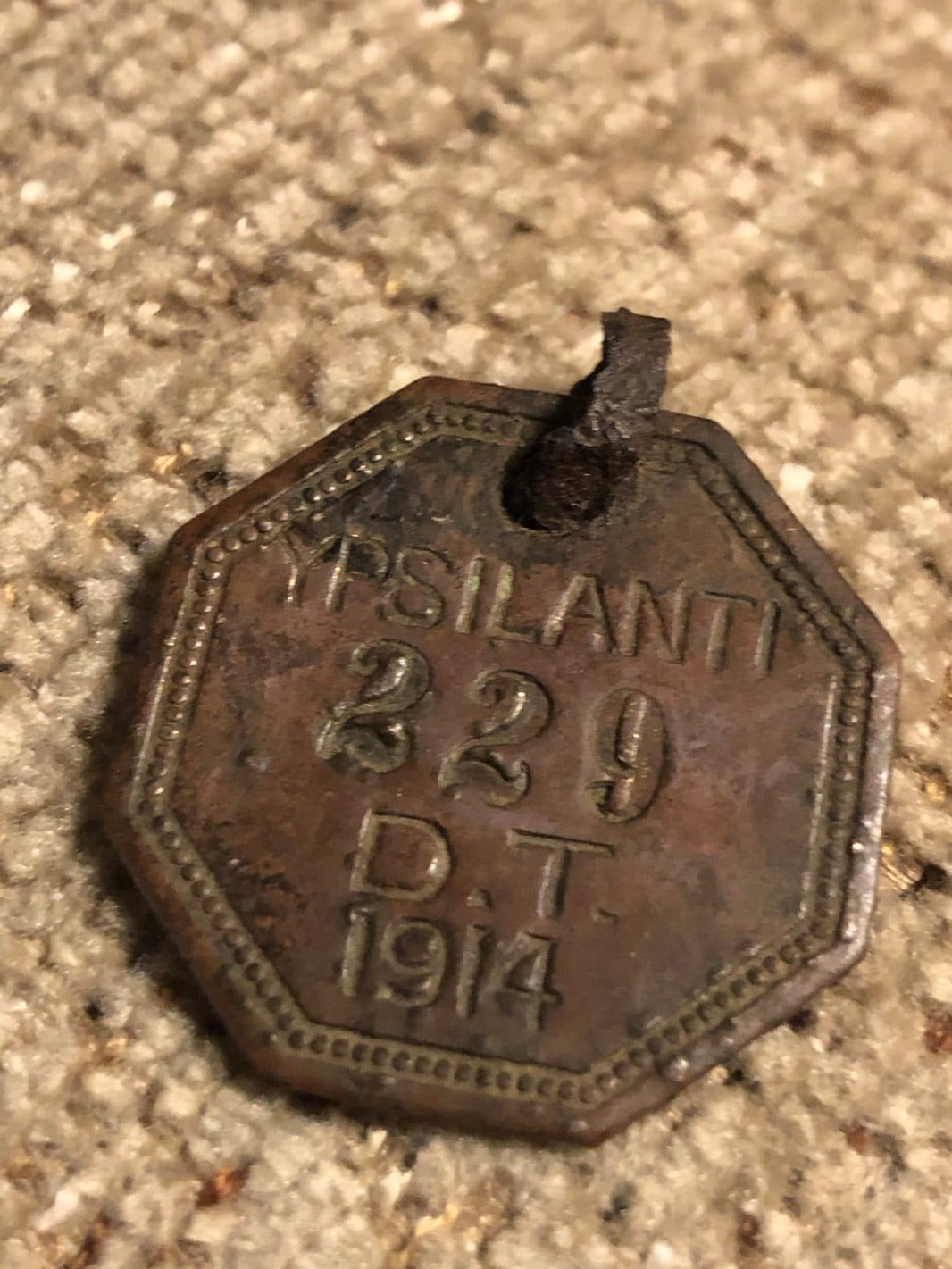 Ypsilanti Dog Tag Find: Garrett AT Pro Success Story