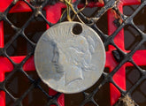 Minelab Euinox 800 - My First Silver Dollar Find