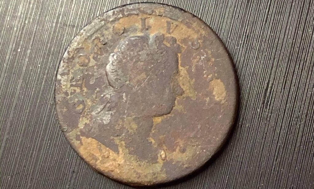 Whites DFX Find
