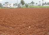 Ground Mineralization: How Soil Affects Metal Detection