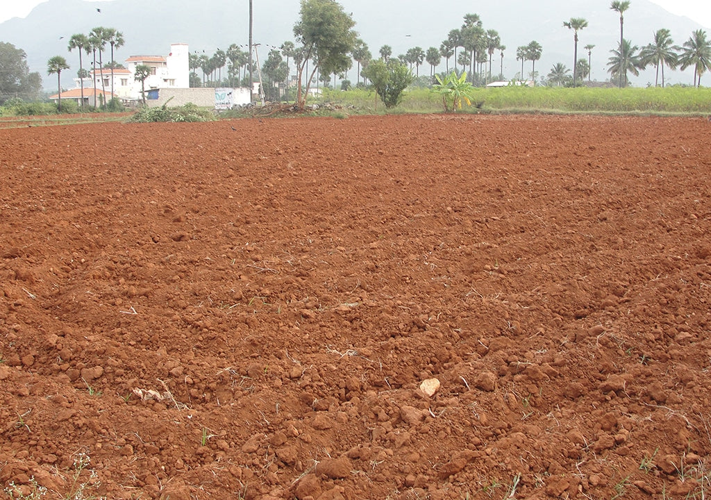 Ground Mineralization: How Soil Affects Metal Detection