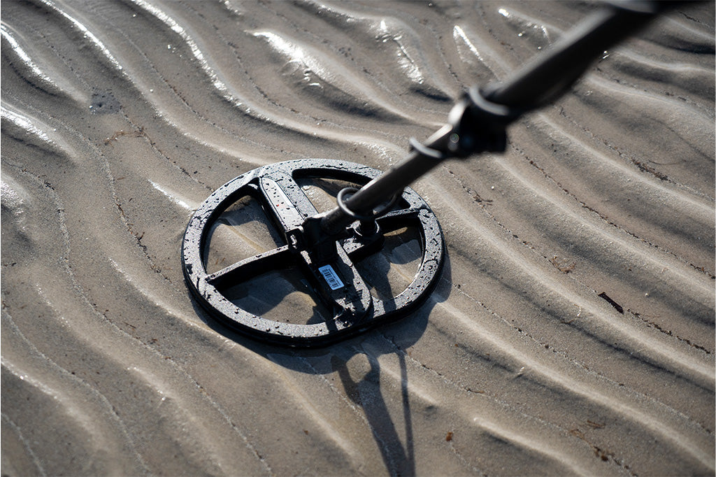 Minelab Manticore M9 coil on wet sand