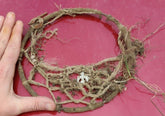 Minelab Equinox 600 Finds Beautiful Dreamcatcher Relic