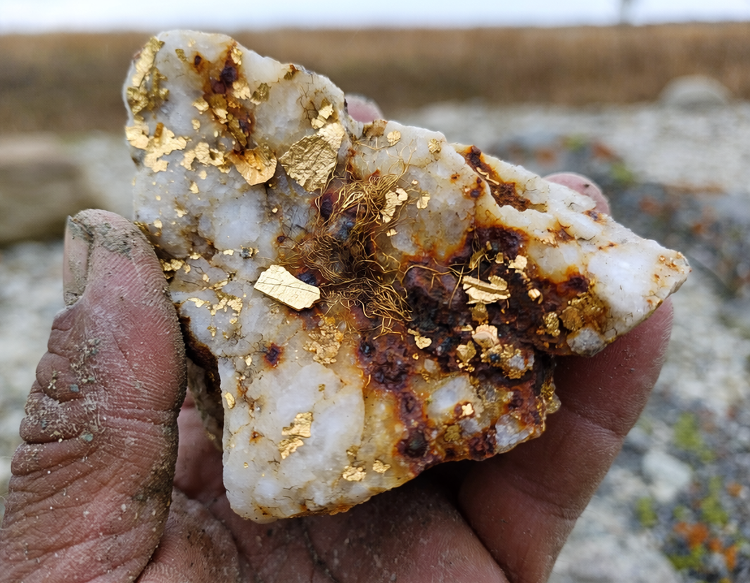 How to Identify Gold Ore: What Gold Looks Like in Rock