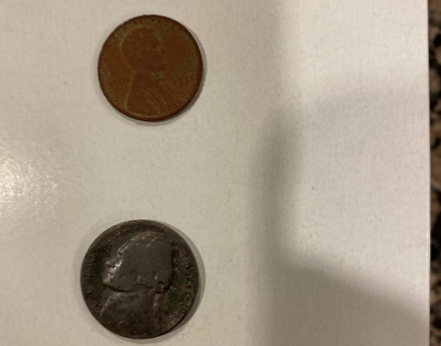 First Time Metal Detecting Success: Beginner Finds 21 Coins