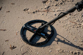 Minelab Search Coils Explained: Compatibility, Depth, and How to Choose the Right Coil