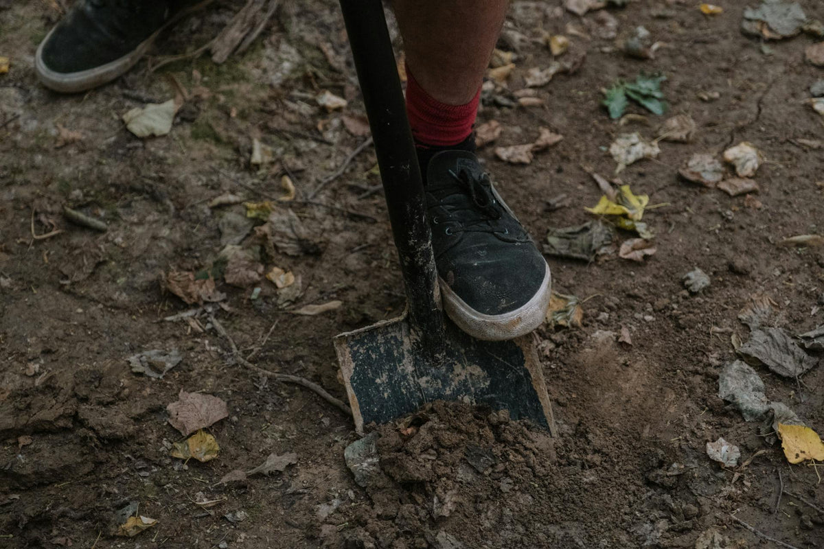 Expert Review: Lesche 36" T-Handle Shovel Comparison - Which Blade is Right for You?