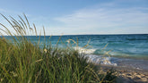 Discovering Hidden Treasures: Metal Detecting Around the Great Lakes