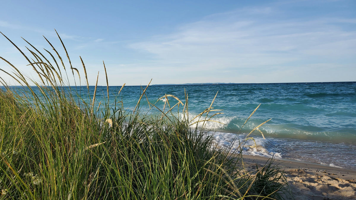 Discovering Hidden Treasures: Metal Detecting Around the Great Lakes