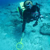 Suba Diver using the Nokta Pulse Dive Metal Detector on a sea floor.