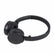 Quest Q40+ Pack Metal Detector with 2 Coils, Hat, Wireless HP Pouch and Cover