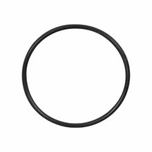 Minelab O-Ring for Equinox