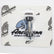 Complete Anderson AND-011 hardware kit for old style shafts