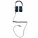 Black Widow Platinum headphones showing dual volume controls and toggle switches