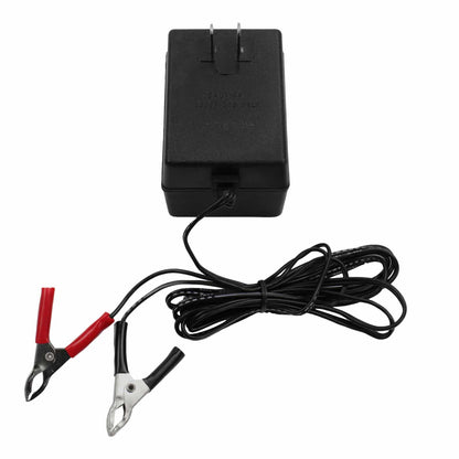 Camel Mining CM-032 wall charger complete package view