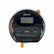XP Metal Detector WS4 Top with LCD and Keypad Replacement