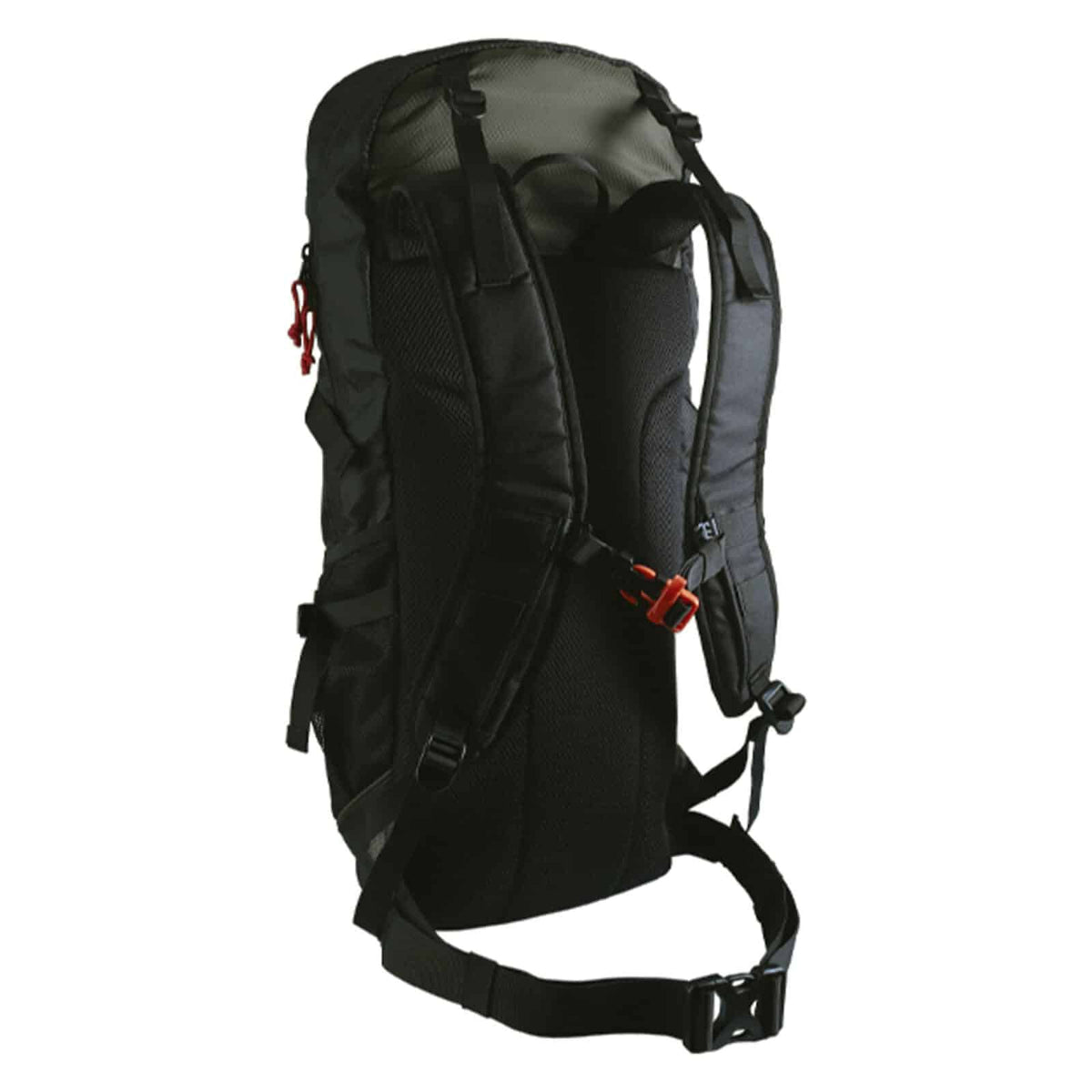 Back view of the XP Backpack 240 showing padded shoulder straps, chest clip and waist belt