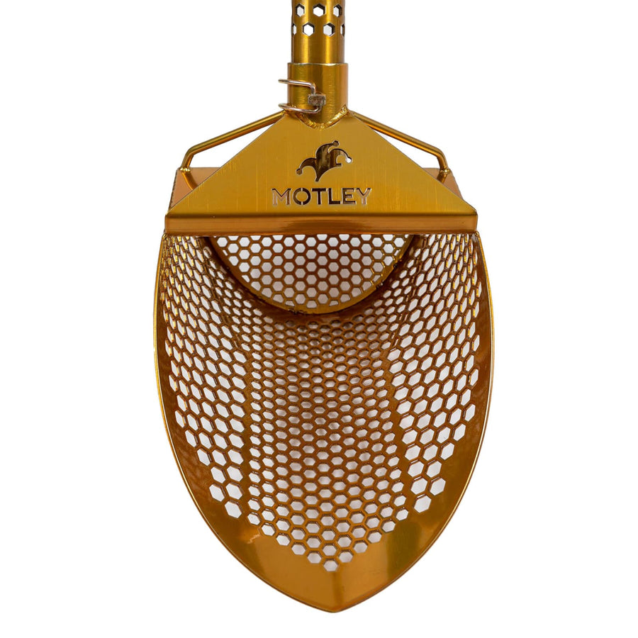 Gold Beach Scoop option